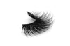 Intoxicating Wing